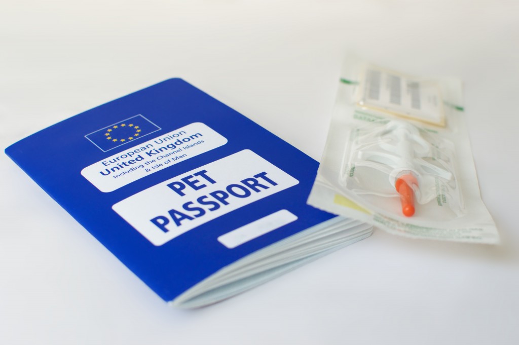 Travelling with Pets A Guide to European Pet Passports