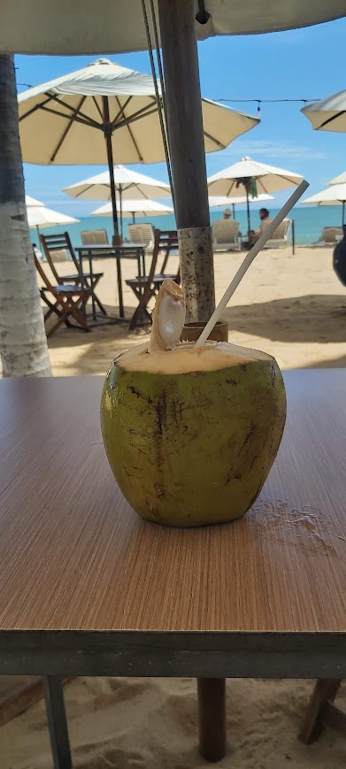 drinking directy from a cold coconut at bluesea bar